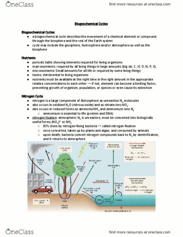 EAS100 Lecture Notes - Lecture 33: Biogeochemical Cycle, Nitrogen Fixation, Nitrogen Cycle thumbnail