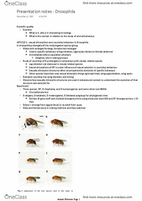 BIO 3176 Lecture Notes - Lecture 1: Phylogenetic Tree, Molecular Clock, Pupa thumbnail