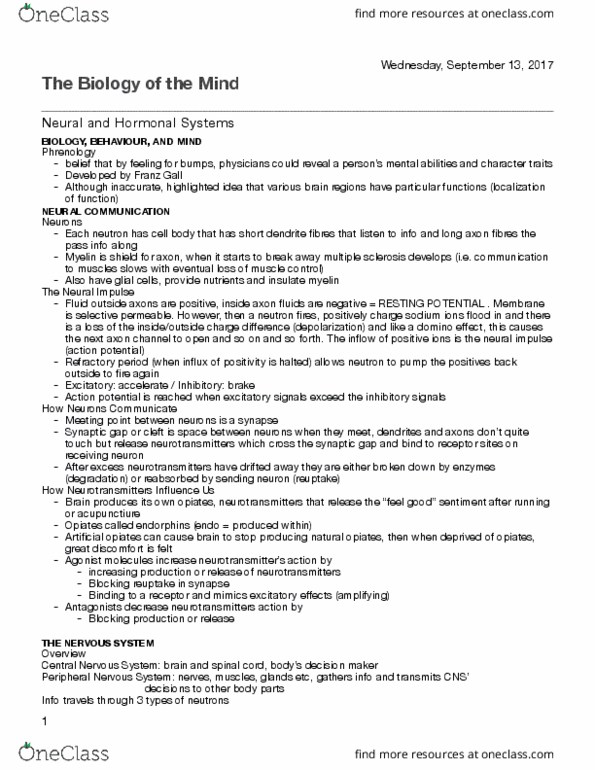 PSY 1101 Chapter Notes - Chapter 2: Peripheral Nervous System, Central Nervous System, Multiple Sclerosis thumbnail