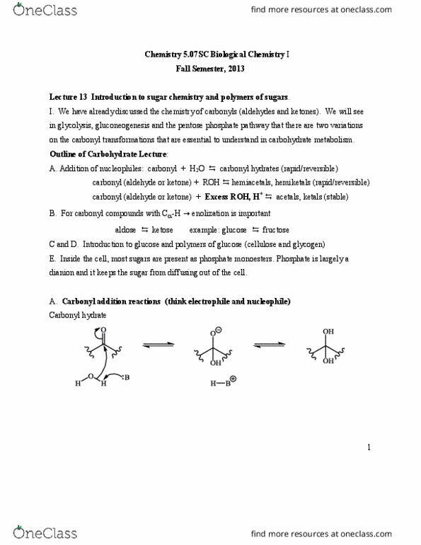 CAS CH 203 Lecture Notes - Lecture 13: Hemiacetal, Carbohydrate Metabolism, Aldehyde thumbnail
