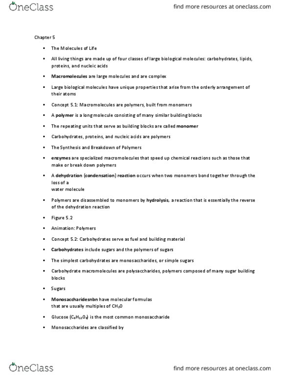 BIO 1305 Lecture Notes - Lecture 5: Dehydration Reaction, Monosaccharide, Polysaccharide thumbnail