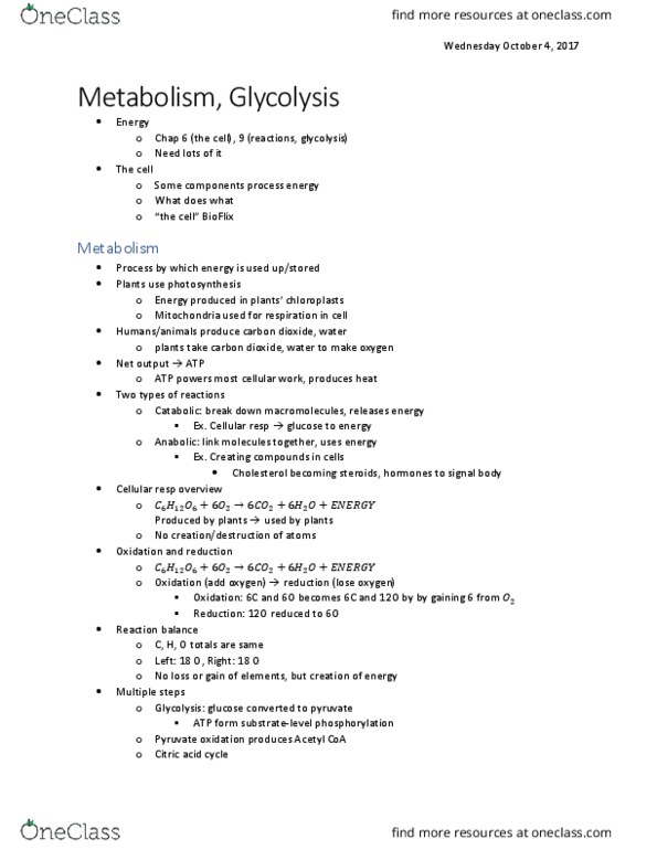 BIOL 1050 Lecture Notes - Lecture 4: Oxidative Phosphorylation, Net Output, Chemiosmosis thumbnail