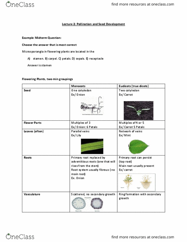 BIOL 1050 Lecture Notes - Lecture 2: Monarda, Sporopollenin, Taproot thumbnail