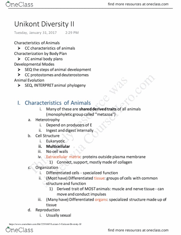 01:119:116 Lecture Notes - Lecture 5: Unikont, Synapomorphy, Animal thumbnail