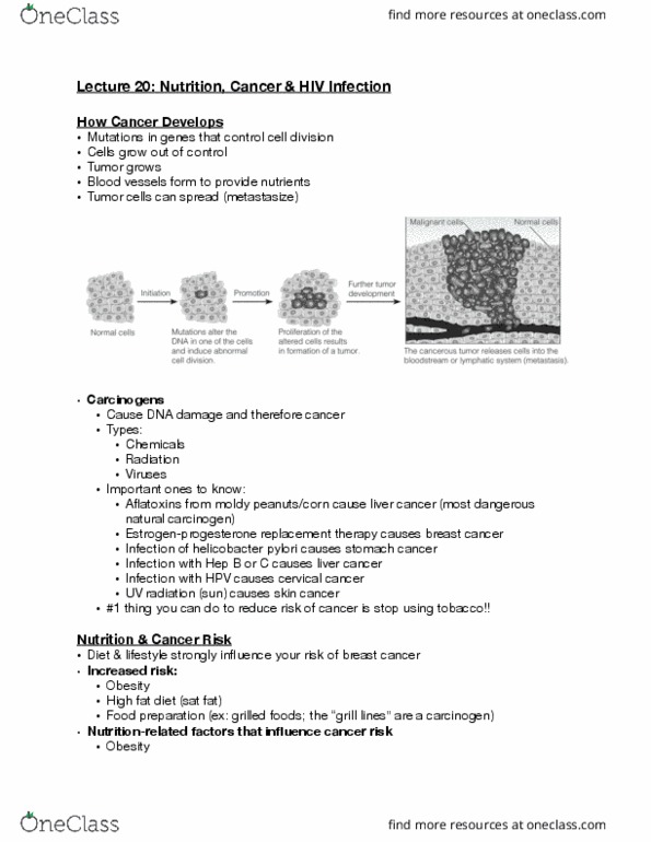 NUTR 222 Lecture Notes - Lecture 20: Helicobacter Pylori, Cervical Cancer, Stomach Cancer thumbnail