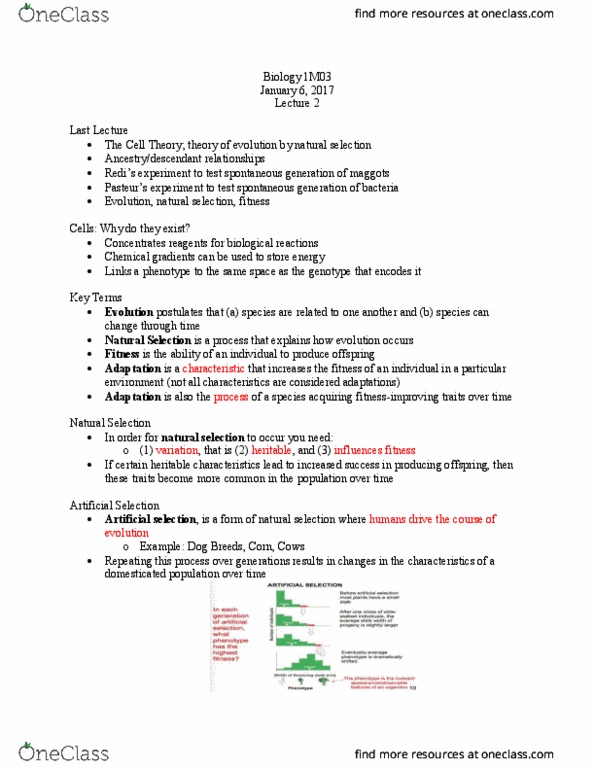 BIOLOGY 1M03 Lecture Notes - Lecture 1: Selective Breeding, Cell Theory, The Strongest thumbnail