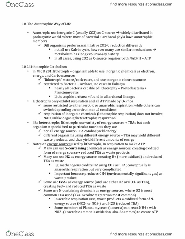 MICB 201 Lecture Notes - Lecture 10: Anaerobic Respiration, Planctomycetes, Anammox thumbnail