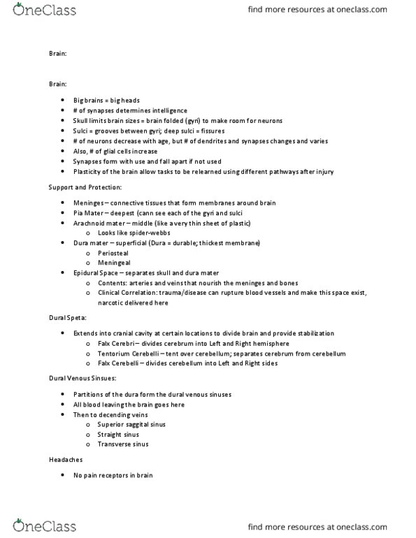 CAS BI 106 Lecture Notes - Lecture 10: Dural Venous Sinuses, Dura Mater, Arachnoid Mater thumbnail