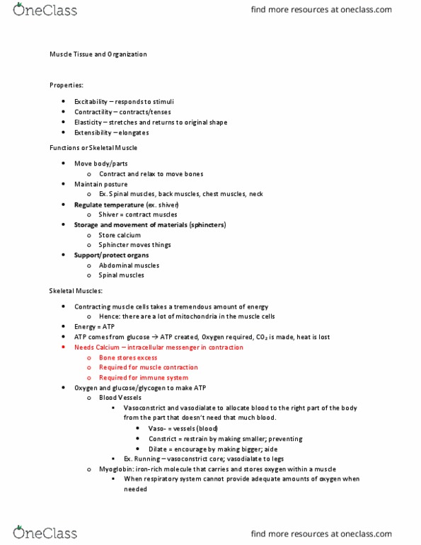 CAS BI 106 Lecture Notes - Lecture 7: Muscle Contraction, Sphincter, Myoglobin thumbnail
