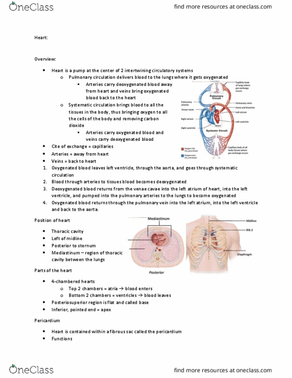 document preview image