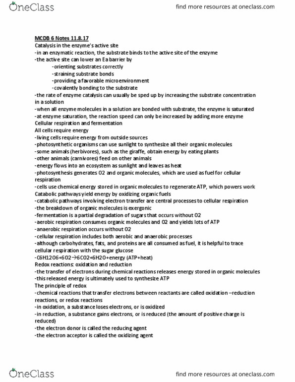 MCDB 20 Lecture Notes - Lecture 3: Enzyme Catalysis, Cellular Respiration, Biofuel thumbnail