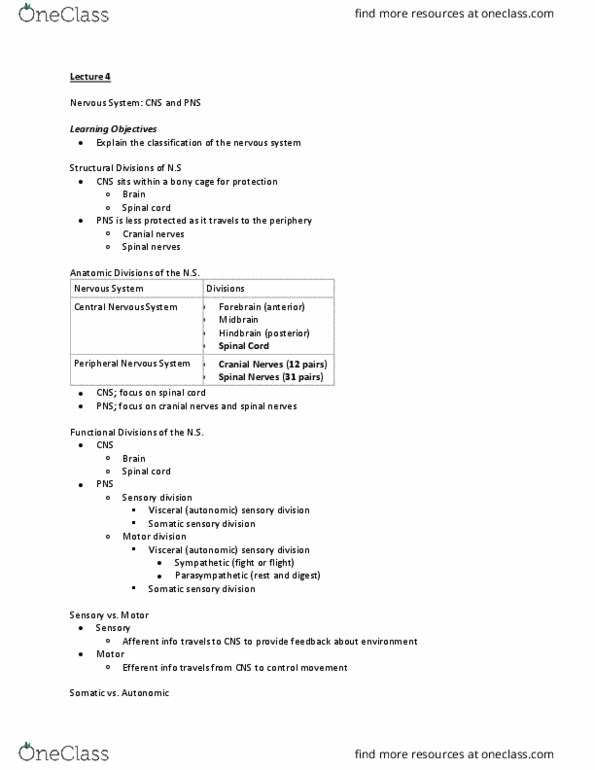 Kinesiology 2222A/B Lecture Notes - Lecture 4: Cauda Equina, Conus Medullaris, Lumbar Puncture thumbnail