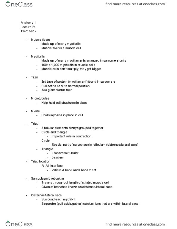 BIOL 382 Lecture Notes - Lecture 21: Endoplasmic Reticulum, Resting Potential, Myocyte thumbnail