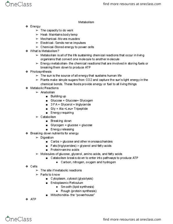 NTDT200 Lecture Notes - Lecture 27: Cellular Respiration, Endoplasmic Reticulum, Blood Sugar thumbnail