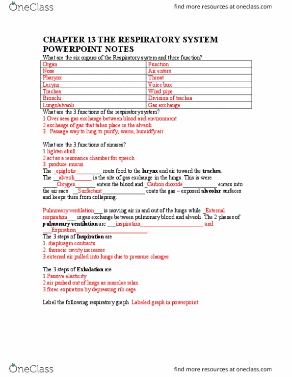 PHSL 310 Lecture Notes - Lecture 4: Breathing, Respiratory System, Graph Labeling thumbnail