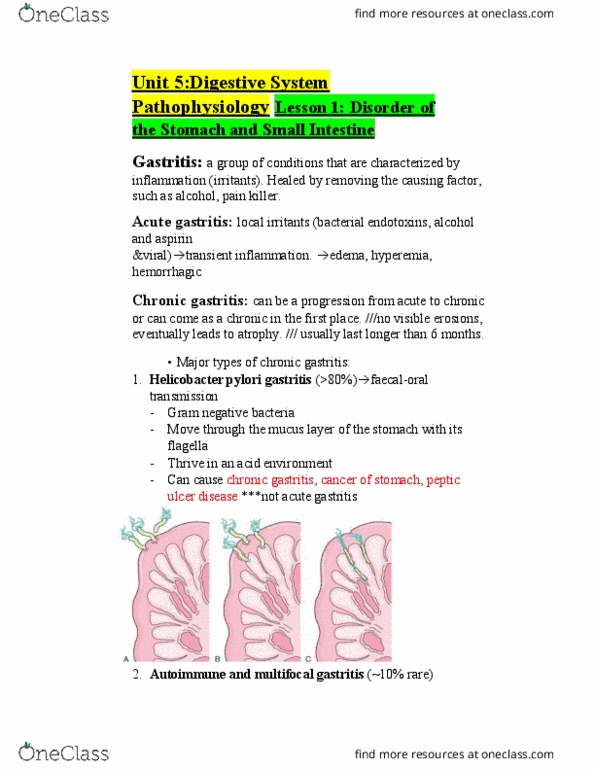 NURS113 Lecture Notes - Lecture 5: Abdominal Distension, Portal Hypertension, Splenomegaly thumbnail
