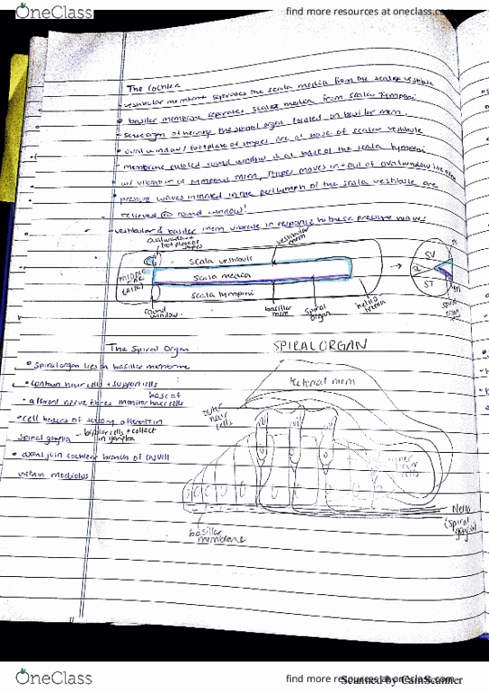 ANA300Y1 Lecture 33: ana300 lec33 thumbnail