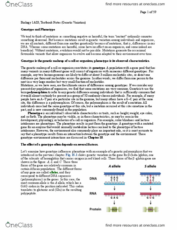 BIOLOGY 1A03 Chapter 13-20: Biology 1A03; Textbook Notes (Theme 5) thumbnail