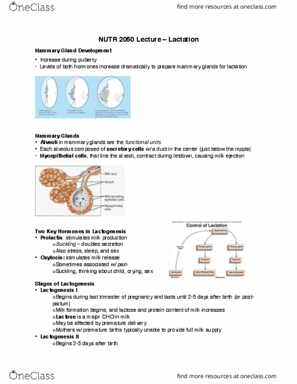 NUTR 2050 Lecture Notes - Lecture 10: Omega-3 Fatty Acid, Hemoglobin, Manganese thumbnail
