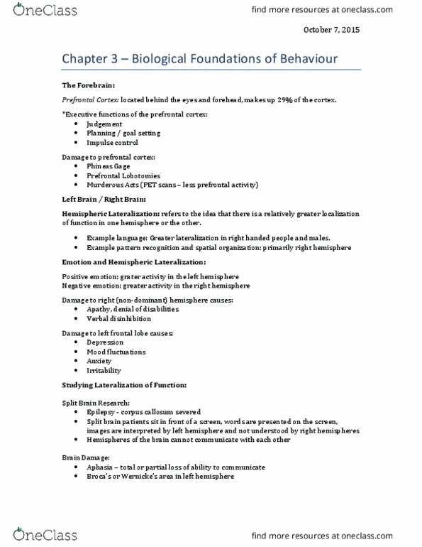 Psychology 1000 Lecture Notes - Lecture 4: Artificial Neural Network, Adrenal Gland, Neurogenesis thumbnail