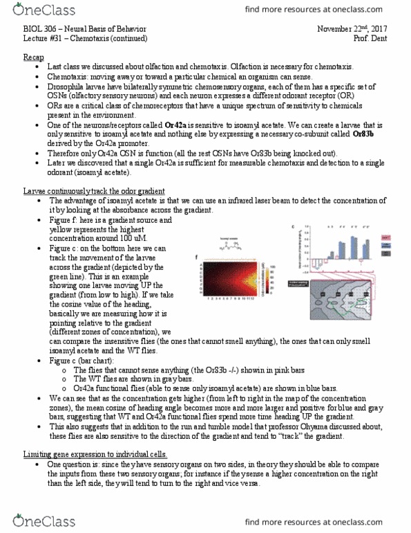 BIOL 306 Lecture Notes - Lecture 31: Intron, Sodium Chloride, Tabula Rasa thumbnail