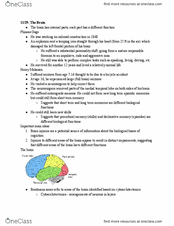 LING 1010 Lecture Notes - Lecture 27: Temporal Lobe, Phineas Gage, Henry Molaison thumbnail