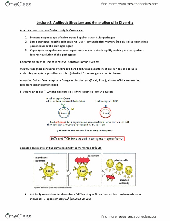 BIOC39H3 Lecture Notes - Lecture 3: Mutation, Exonuclease, V(D)J Recombination thumbnail