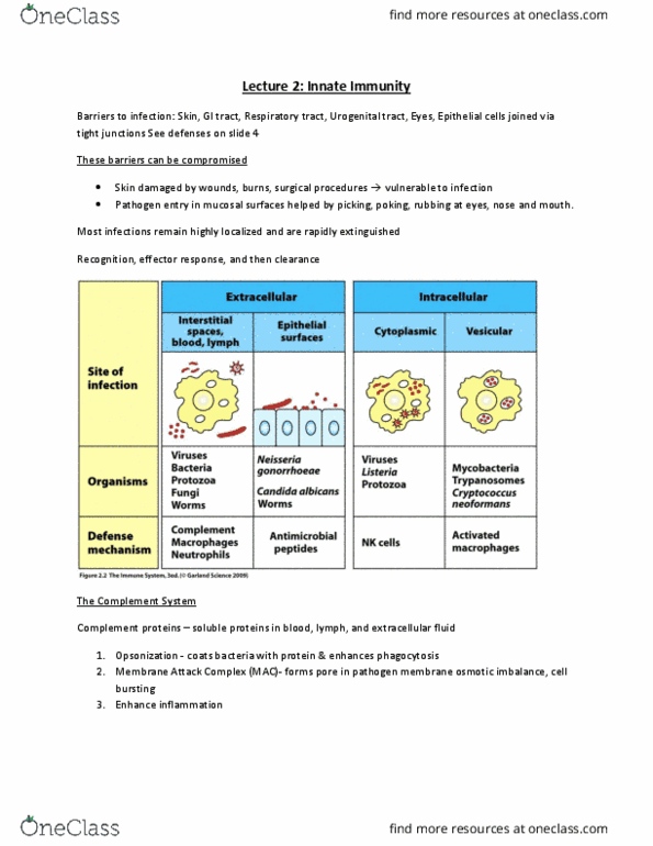 BIOC39H3 Lecture Notes - Lecture 2: Autocrine Signalling, Cell Migration, Antigen thumbnail
