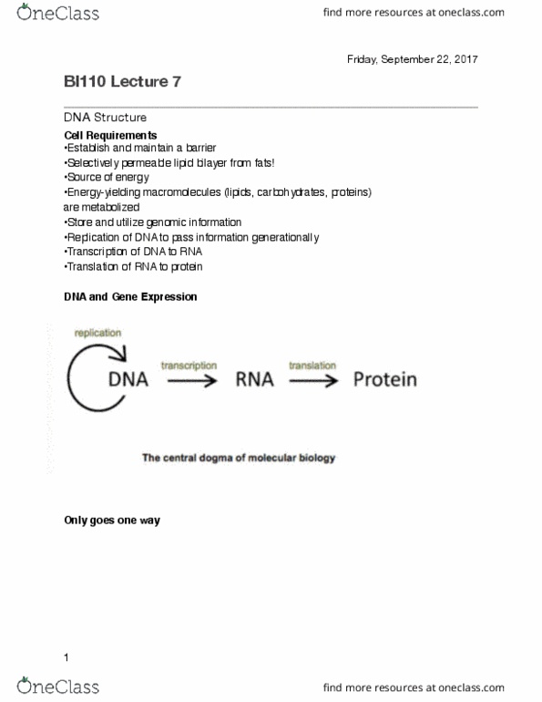 BI110 Lecture Notes - Lecture 7: Thymine, Lipid Bilayer, Dna Replication thumbnail