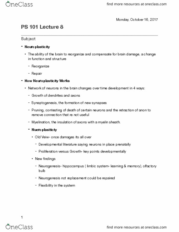 PS101 Lecture Notes - Lecture 7: Olfactory Bulb, Myelin, Neuroplasticity thumbnail