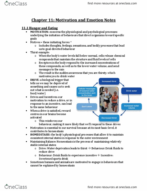 PSYA02H3 Chapter 11: Chapter 11 Notes thumbnail