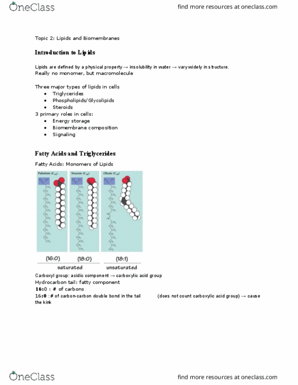 MCB 150 Lecture Notes - Lecture 7: Phosphatidylserine, Flippase, Ethanolamine thumbnail