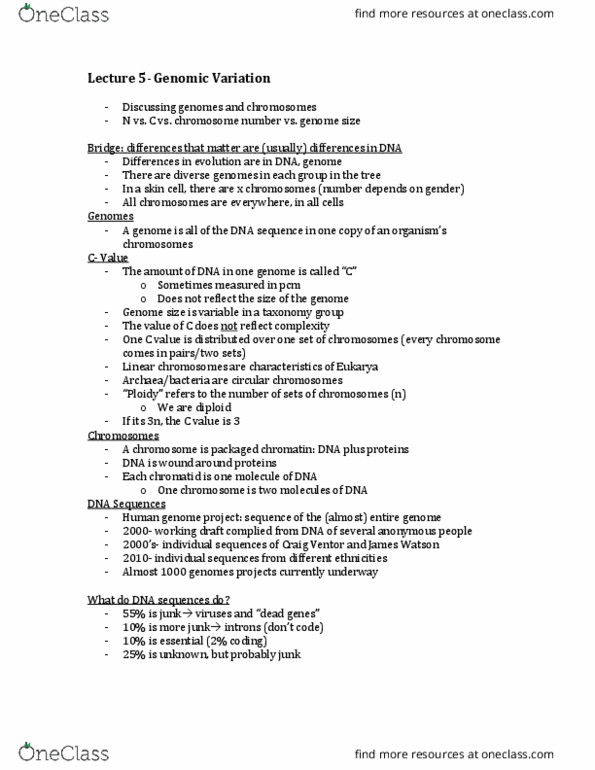 Biology 1001A Lecture Notes - Lecture 5: Miosis, Telomerase, Metaphase thumbnail