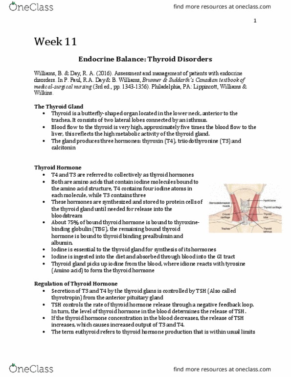 Nursing 3910A/B Chapter Notes - Chapter 11: Internal Jugular Vein, Dementia, Vasoconstriction thumbnail