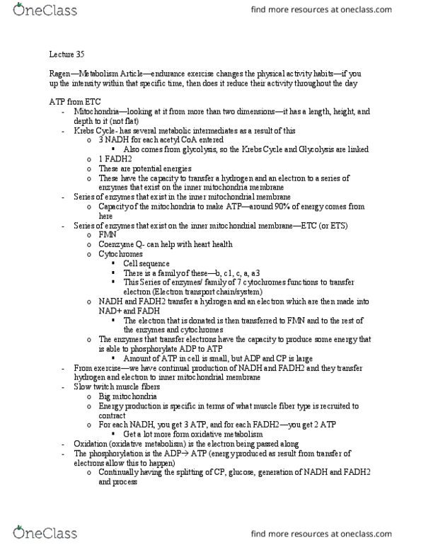 KNES 360 Lecture Notes - Lecture 35: Glycerol, Glycogen, Beta Oxidation thumbnail