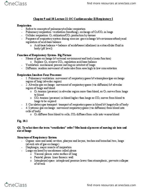 EHS 385 Lecture Notes - Lecture 21: Abdominal External Oblique Muscle, Abdominal Wall, Skeletal Muscle thumbnail