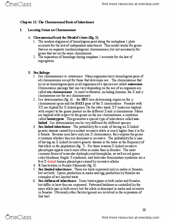 EBIO 1210 Lecture Notes - Lecture 12: Organelle, Monosomy, Advanced Maternal Age thumbnail