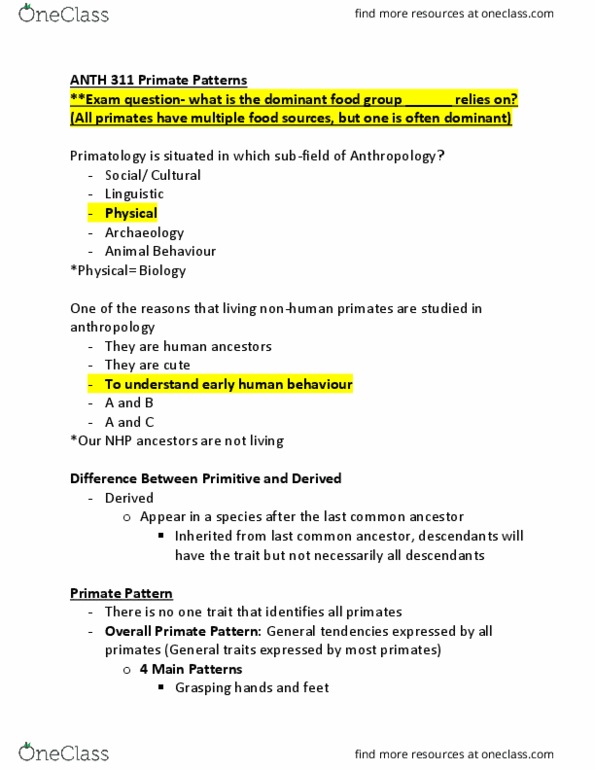 ANTH 311 Lecture Notes - Lecture 2: Ape, Hominidae, Gibbon thumbnail