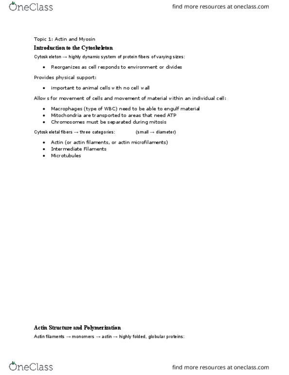 MCB 150 Lecture Notes - Lecture 23: Phosphate, Sarcomere, Cell Division thumbnail