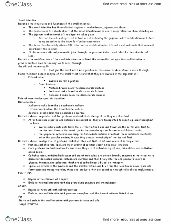 MIC 211 Lecture Notes - Lecture 22: Pancreatic Lipase Family, Pancreatic Juice, Pancreatic Duct thumbnail