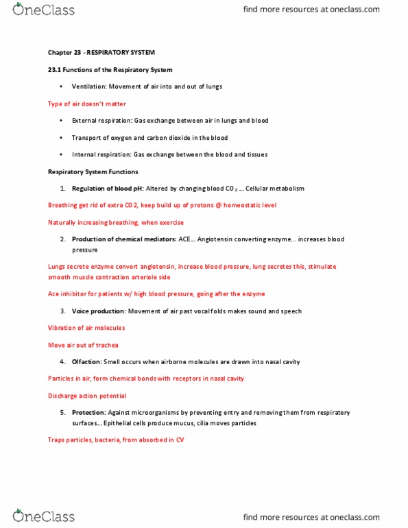KINESIOL 2YY3 Lecture Notes - Lecture 23: Kyphosis, Motor Cortex, Partial Pressure thumbnail