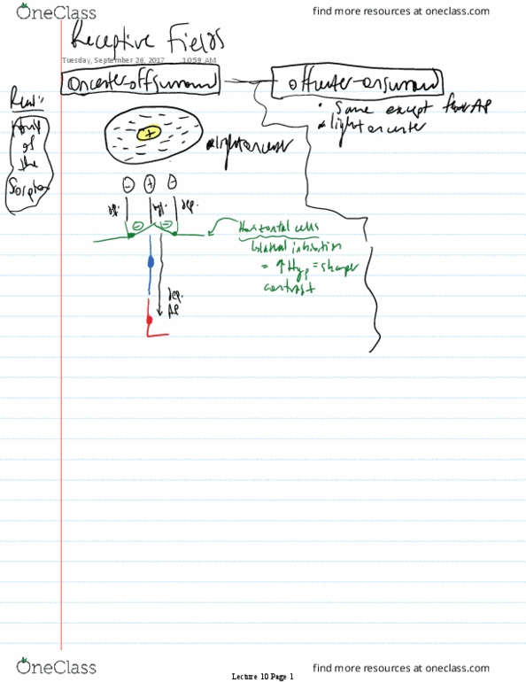 BIOS30344 Lecture 10: Lecture 10 thumbnail