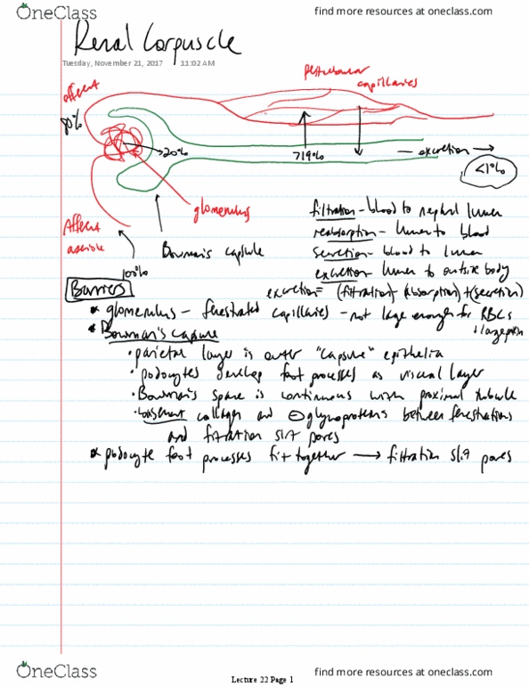 BIOS30344 Lecture 22: Lecture 22 thumbnail