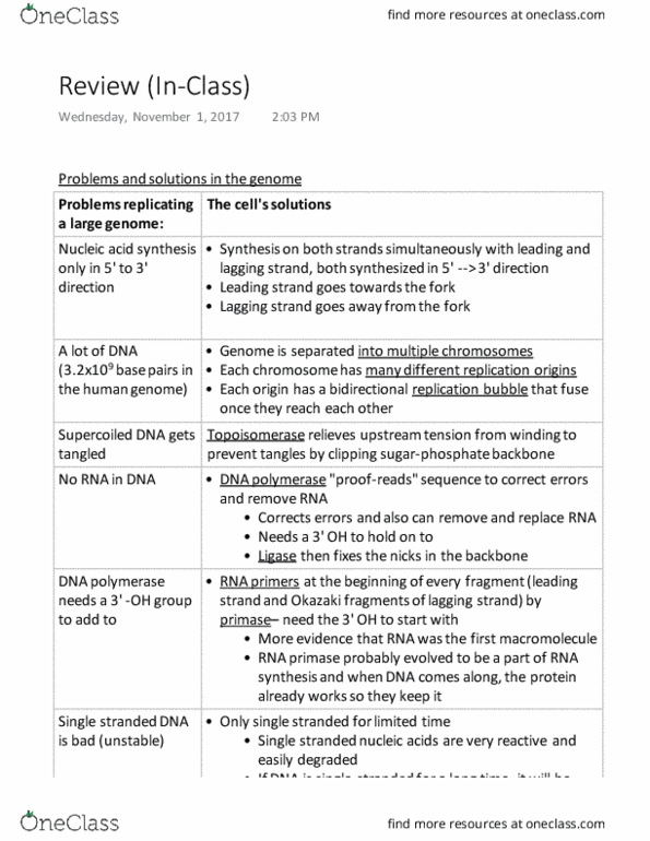 BIOL 141 Lecture Notes - Lecture 20: Dont, Telomere, Helicase thumbnail