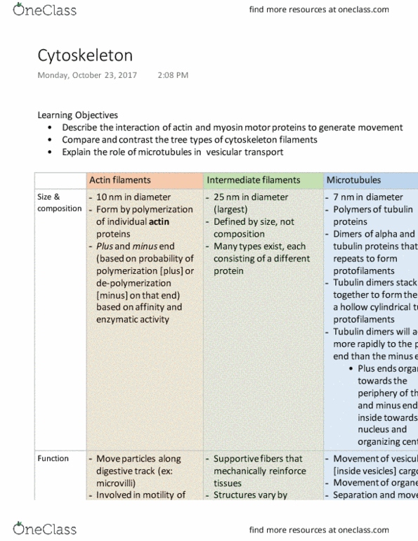 BIOL 141 Lecture Notes - Lecture 17: Desmosome, Cytoplasmic Streaming, Cytokinesis thumbnail