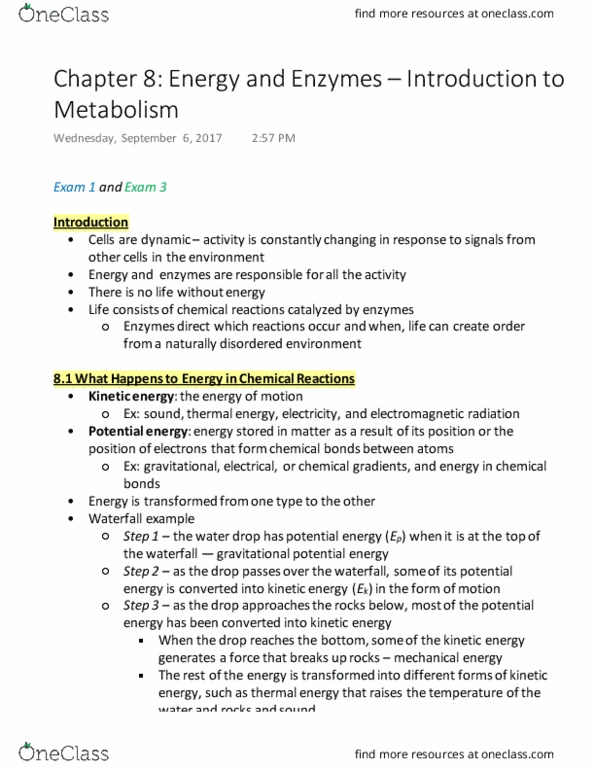 BIOL 141 Chapter 8: Energy and Enzymes – Introduction to Metabolism thumbnail