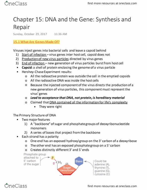 BIOL 141 Chapter 15: DNA and the Gene Synthesis and Repair thumbnail