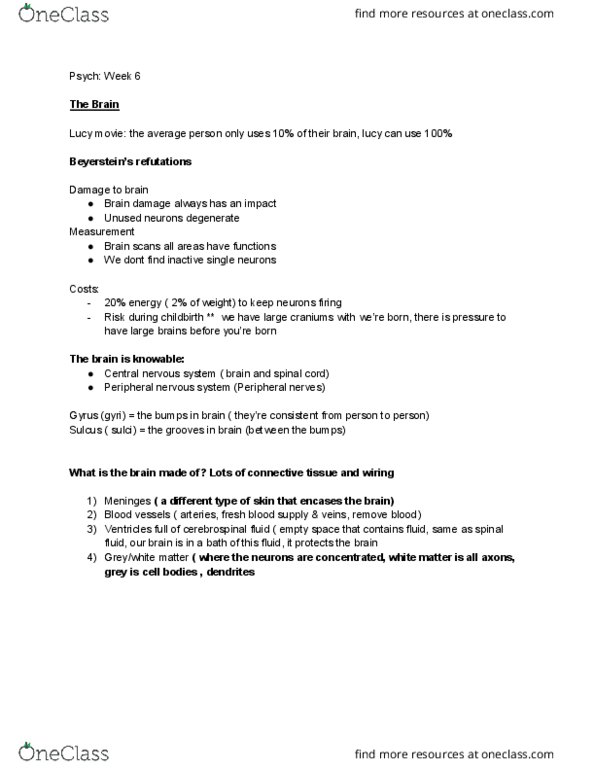 PSYC 100 Lecture Notes - Lecture 6: Temporal Lobe, Parietal Lobe, Hypothalamus thumbnail