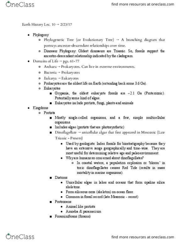 GEOL 1020 Lecture Notes - Lecture 10: Plant, Permineralization, Palynology thumbnail