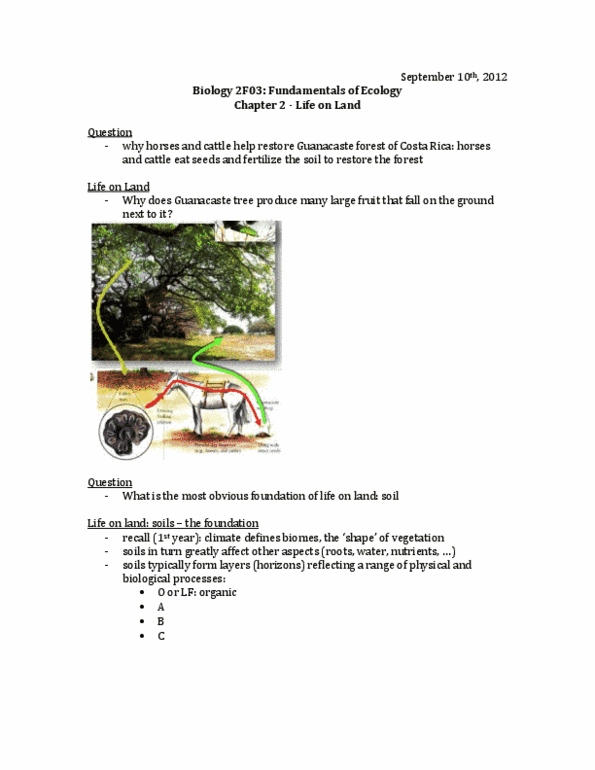 BIOLOGY 2F03 Lecture Notes - Soil Horizon, Parent Material, Biome thumbnail